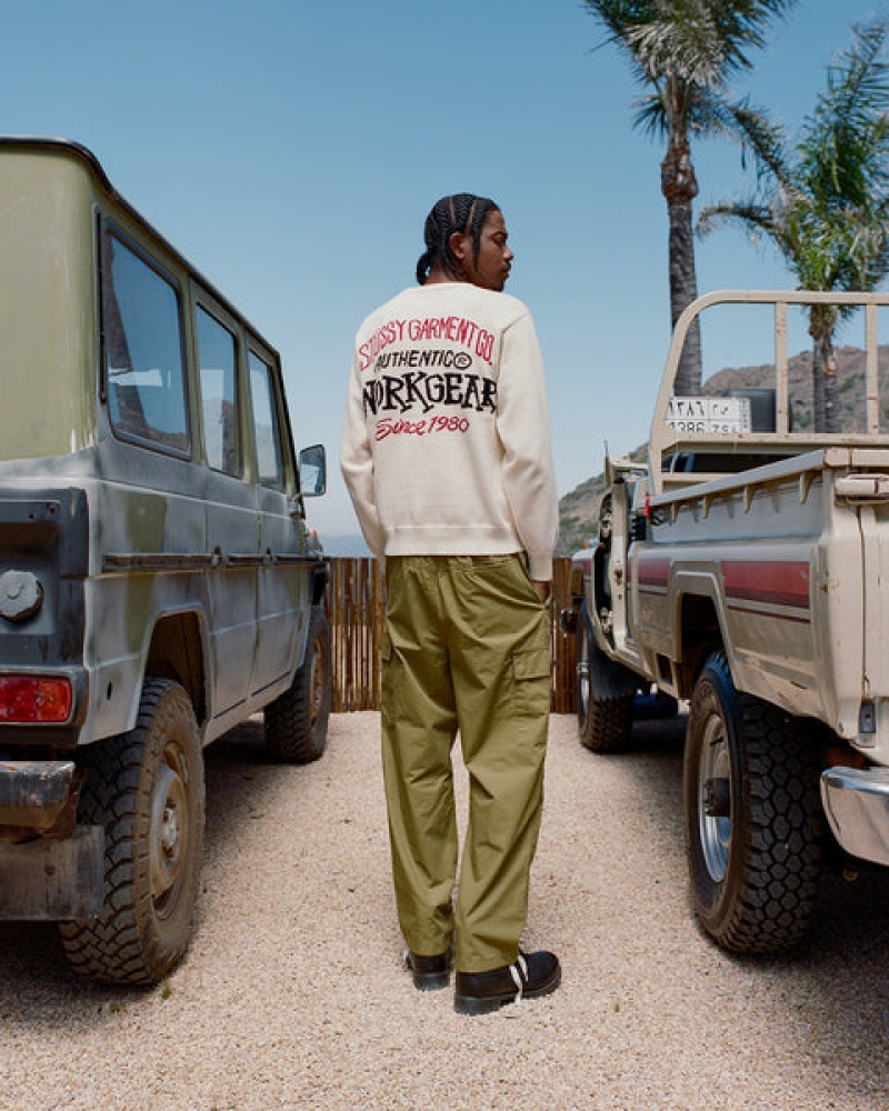 Stussy Beach Pant Ripstop Cargo Pantolon Kadın Kahverengi Türkiye | MIW-2669