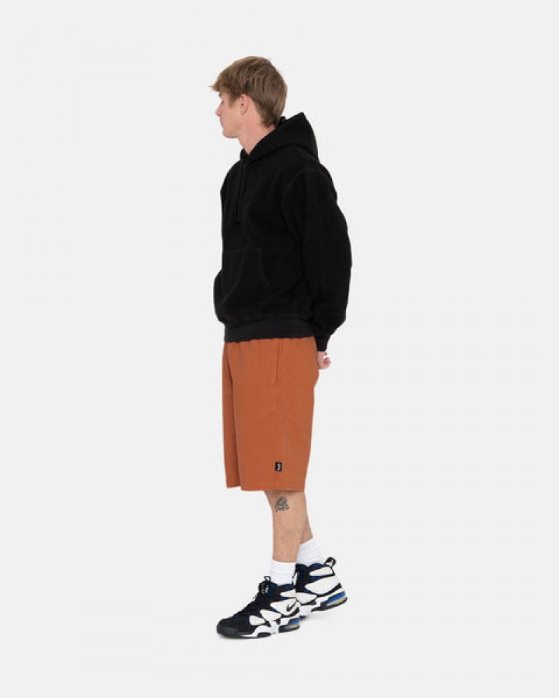 Stussy Brushed Beach Kısa Şort Erkek Kahverengi Türkiye | JCD-9172