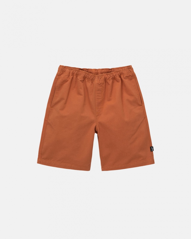 Stussy Brushed Beach Kısa Şort Erkek Kahverengi Türkiye | JCD-9172