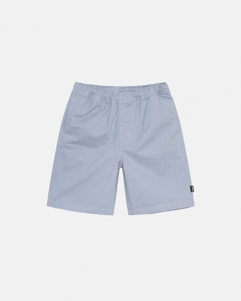 Stussy Brushed Beach Kısa Şort Erkek Mavi Türkiye | XNX-1811