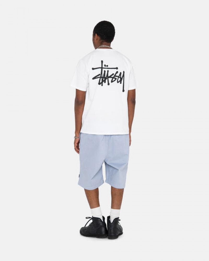 Stussy Brushed Beach Kısa Şort Kadın Mavi Türkiye | ACQ-3412