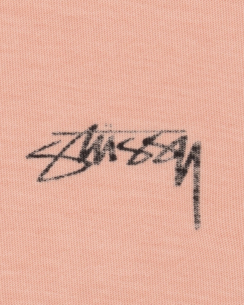 Stussy Lazy Ls Tee T shirt Erkek Açık Pembe Türkiye | KGC-3573