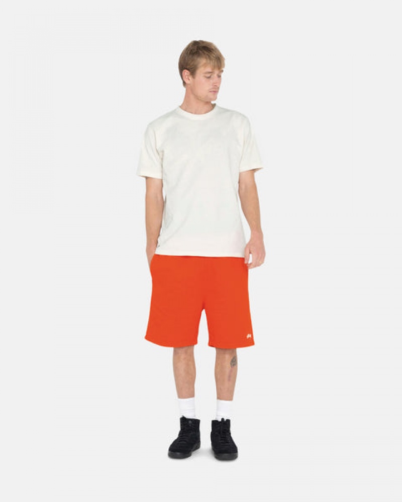 Stussy Overdyed Stock Logo Kısa Tişörtü Kadın Turuncu Türkiye | JUL-6076